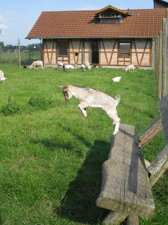 Ferienhof Roesch Bad Wurzach Buitenkant foto
